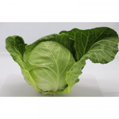 Zelí hlávkové bílé 1 kg