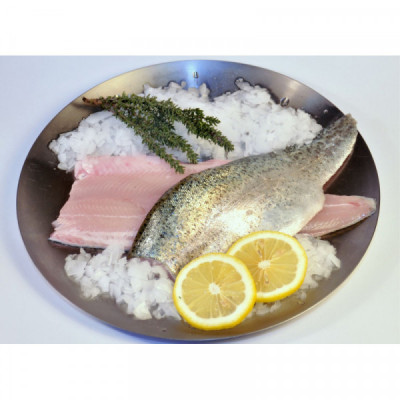 Pstruh duhový, filet s kůží, čerstvý VAC ( kus cca 300g)