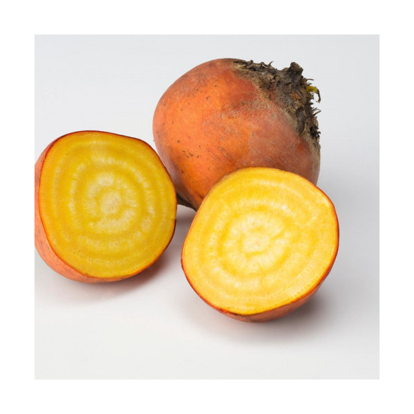 Řepa žlutá salátová 1kg