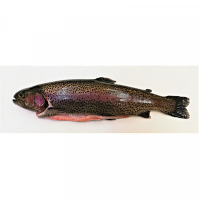 Pstruh lososovitý  filet VAC (kus cca 300g)