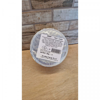 Jogurt lesní směs, 200g Diviš