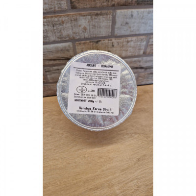 Jogurt borůvka, 200 g Diviš