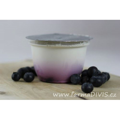 Jogurt borůvka, 200 g Diviš