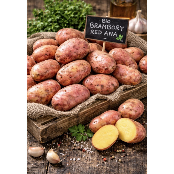 Bio brambory Red Anna