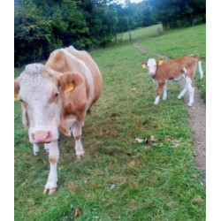 Farma Robert Chovančák